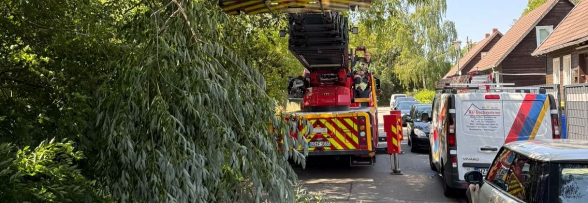 14.07.2026 - Angebrochener Ast blockiert Straße